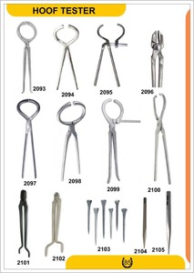 Herramienta de Herraje Veterinaria Reutilizable de Primera Calidad, Herrador de Pezuñas de Una Pieza de 12 Pulgadas, Acero Inoxidable 304, Certificado CE, 1 Año de Garantía - Product Image 4