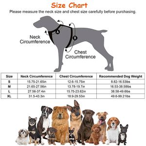 Rechargeable LED <b>Light</b>-Up Dog Harness No <b>Pull</b> Dog Vest with <b>Handle</b> for Small Medium & Large Dogs - Product Image 2