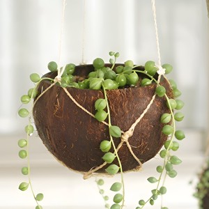 Maceta colgante con cuerda de coco, maceta decorativa de cáscara de coco, macetas para plantas de exterior. - Product Image 5