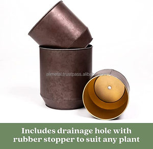 Chậu Hoa Tròn Và Chậu Trồng Cây Vàng Và Đồng Có Lỗ Thoát Nước Tuyệt Vời Cho Cây Xương Rồng Hoặc Cây Rắn - Product Image 2