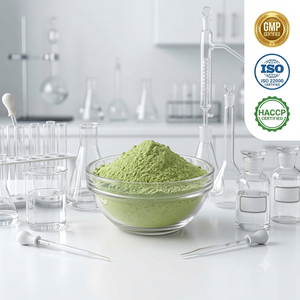 ผงใบว่านหางจระเข้ Aloe barbadensis Miller ผงสมุนไพร รับผลิตแบรนด์ส่วนตัว (OEM) ขายส่ง อินเดีย - Product Image 4
