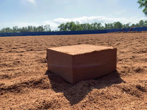 Bloc de tourbe de coco premium 5 kg – Faible EC, lavé et tamponné, haute expansion pour culture hydroponique et serres - Product Image 6