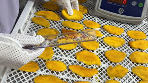 Mango Deshidratado 100% Fresco, Bajo en Azúcar, Textura Suave y Jugosa, Envasado al Vacío, 1 kg, Kosher, Fuente Natural de Vitamina C - Product Image 4