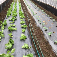 Rouleaux de paillis plastique noir commercial pour les parterres de fraises et de légumes, couverture et suppression des adventices agricoles