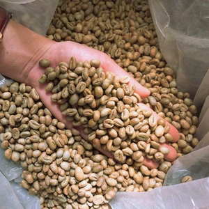 Premium Specialty <b>Robusta</b> Green <b>Coffee</b> <b>Beans</b> Size 16, Vietnam Wholesale Supplier, 100% Natural, Low Defect 0.1%, ISO 22000 - Product Image 1