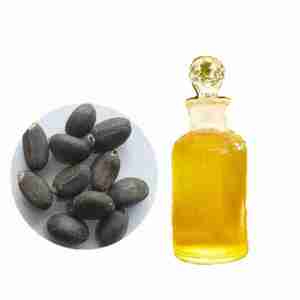 Aceite de Jatropha al por mayor, precio con descuento, entrega rápida, listo para exportación - Product Image 1
