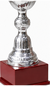 Stainless Steel <b>Trophy</b> <b>Cup</b> With Ribbons Durable Metal Award For Competition Display - Product Image 5