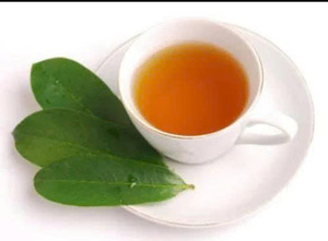 Tranches de corossol séchées vietnamiennes, naturelles et moelleuses, sans sucre ajouté, vente en gros, qualité export, prix usine, mondial - Product Image 3