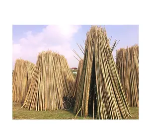 Vietnam bamboo poles each 1.25 meters bamboo tubes natural diameter 8-10 cm bamboo decoration garden house apartment decoration