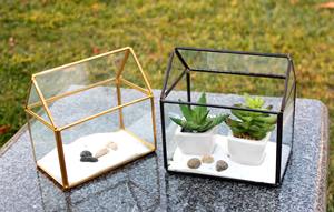 Terrarium en verre en forme de cabane pour plantes d'intérieur, idéal pour une décoration intérieure chaleureuse et une mise en valeur de table dans les espaces de vie. - Product Image 6