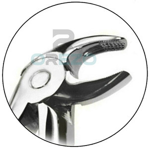 Durable Stainless Steel Manual Dental Extracting Forceps CE Certified Reusable Lightweight Ergonomic Grip <b>12</b> Jaw Positions - Product Image 6