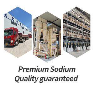 Poudre de bentonite de sodium standard API 13A, additif pour boue de forage, viscosifiant pour fluide de forage pétrolier et gazier, marque WR, directement de l'usine - Product Image 5