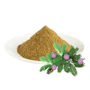 Lajwanti <b>Plant</b> Extract - Product Image 1