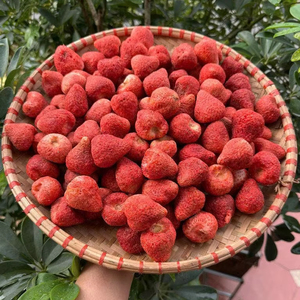 Fresas Liofilizadas Naturales Crujientes para Decoración de Postres, Fabricante Vietnamita, Más Vendidas 2026 para Venta al por Mayor - Product Image 1