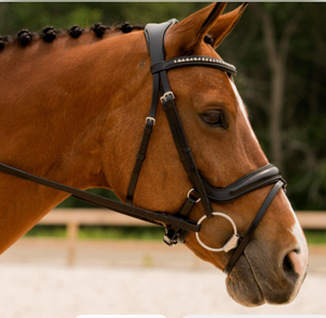 Brida de Cuero Profesional de Alta Calidad para Caballos, Transpirable, Modelo Personalizado 10124bl, Tamaño 2x3x2m, Venta Caliente, China, Equitación - Product Image 4