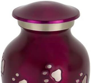 Urnas Decorativas de Acero Inoxidable Modernas y Ecológicas para Cenizas de Mascotas, Suministros Funerarios Pequeños al por Mayor - Product Image 3