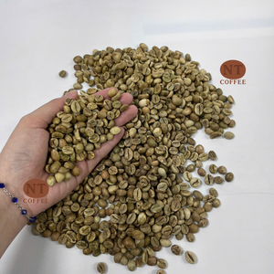 Granos de Café Verde Robusta de Calidad de Exportación, Proveedor Directo de Granos Crudos de Vietnam, Mejor Precio Competitivo, Servicio OEM/ODM - Product Image 1