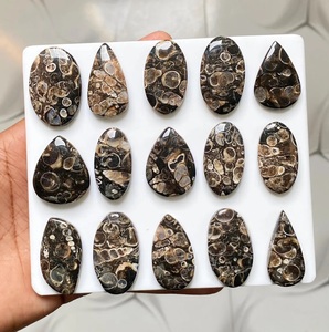 Turritella Loose Gemstone Cabochon Semi-Precious Stone For Jewelry Making Pendant Ring Bracelet Necklace - Product Image 1