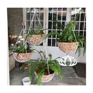Maceta Colgante de Fibra de Coco de Primera Calidad 2026, Cesta de Fibra de Coco para el Cuidado de Plantas y Uso Decorativo, Sistema de Drenaje Transpirable - Product Image 1