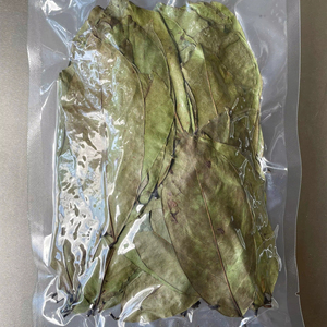 Oferta Especial 2026: Té en Bolsitas 100% Natural de Hojas de Guanábana, OEM/ODM, Marca Privada, Promotor del Metabolismo - Product Image 1