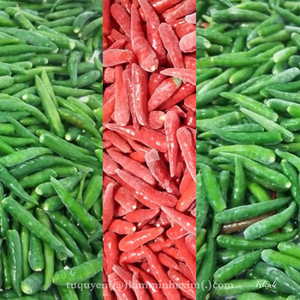 พริกแห้งคุณภาพส่งออก IQF พรีเมียม (สีแดงและสีเขียว) ผลิตภัณฑ์จากเวียดนาม - Product Image 3