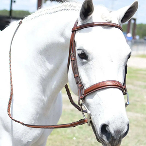 Brida de Cuero para Caballo de Alta Calidad, Duradera y Reutilizable para Exteriores, Personalizable, Ajustable, para Animales Grandes, 2026 - Product Image 5