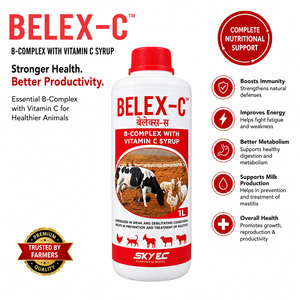 BELEX-C, Suplemento Líquido sin Granos con Complejo B y Vitamina C para Reforzar el Sistema Inmunológico en Ganado Vacuno, Búfalos, Terneros y Aves de Corral |   Paquete de 1 Litro - Product Image 2