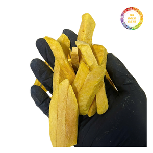Mango Liofilizado Apto para Producción de Snacks y Formulaciones Culinarias Creativas - Product Image 3