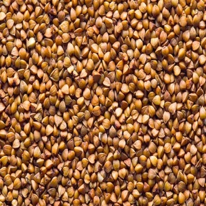 Trigo Sarraceno Orgánico Seco de Alta Calidad, Venta al Por Mayor, Grado Consistente, Envasado al Vacío, Proceso FD, Envío Rápido - Product Image 6
