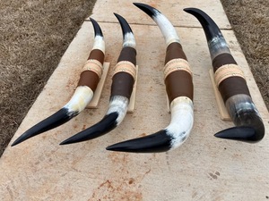Juego de Cuernos de Toro Montados, Ecológicos, Hechos a Mano, Rústicos, Modernos, con Diseño Animal, Cuernos Pulidos, Decoración del Hogar Estilo Western, Pascua - Product Image 5