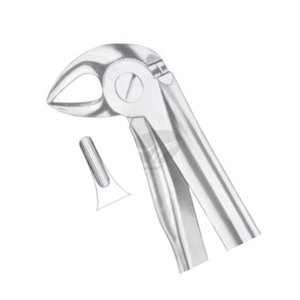 Figurine chirurgicale dentaire Forceps d'extraction dentaire 33L pour racines inférieures, à dents de différentes tailles, instruments dentaires, prix de gros en vrac - Product Image 1
