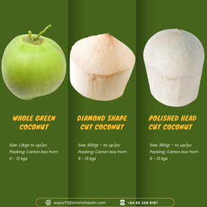 Coco Fresco de Alta Calidad _ Exportación a Granel desde Vietnam para Socios B2B en Todo el Mundo - Product Image 3