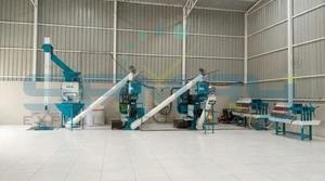 Presse à huile industrielle automatique à vis pour colza, colza, moutarde et canola, 6 vis, extraction par expulsion, capacité 4 tonnes par jour - Product Image 6