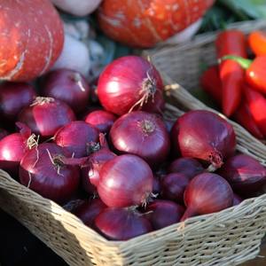 Cebolla Roja Fresca, Deliciosa y Natural de Primera Calidad Orgánica para Exportación, de Grado Alimenticio y Amplia Venta, para Compra al por Mayor - Product Image 5