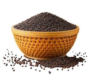 Graines de moutarde de qualité supérieure les plus vendues pour usage culinaire, traitement agricole, approvisionnement disponible, bon prix - Product Image 6