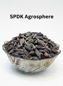 Suplemento de salud a base de hierbas Producto agrícola Black Terminalia Chebula - Product Image 4