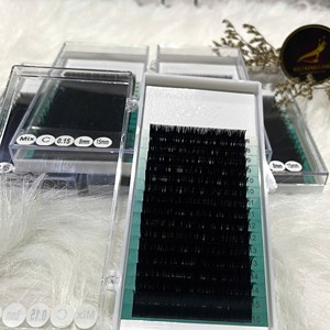 Extensions de cils individuels en plateau 12/16 lignes, fibres PBT coréennes de haute qualité, naturelles, longues, foncées, mates, marque privée, vente en gros - Product Image 1