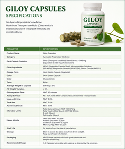 Giloy Capsules Tinospora Cordifolia <b>Herbal</b> <b>Supplement</b> 500 mg per Capsule 60 Capsules Immunity and Wellness - Product Image 4
