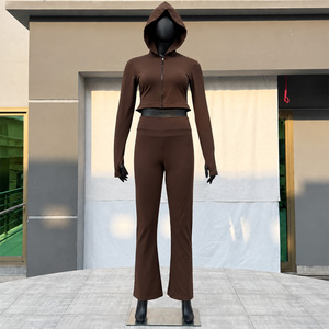 Ensemble de yoga 2 pièces pour femme, automne-hiver, avec sweat à capuche uni à manches longues et pantalon de jogging taille mi-haute, décontracté, sportif, séchage rapide - Product Image 2