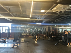 เครื่องวิเคราะห์ร่างกายอัจฉริยะ Bodydot BDF1000 ใช้พลังงาน AI โครงอะลูมิเนียมอัลลอยด์ยืดหยุ่น ไม่สามารถพับได้ ติดตามท่าทางร่างกายแบบเต็มรูปแบบ - Product Image 3