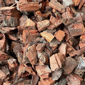 Chips de Corteza de Pino para Plantas de Orquídeas, Producto Herbal Seco Crudo, Marca CareQue, Origen Rajasthan, Vida Útil de 18 Meses - Product Image 1