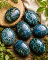 Pierre de palmier en apatite bleue naturelle polie, pierre de poche pour la manifestation du chakra de la gorge, la motivation, la concentration et la méditation