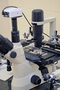 Services d'essais de microstructure - Product Image 5