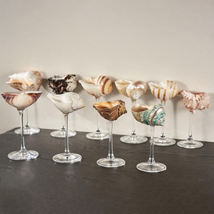 Nueva colección de copas de vino con forma de concha marina, vasos para martini, cocteles y bebidas, copas de concha marina. - Product Image 1