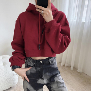 เสื้อฮู้ดครอปท็อปผู้หญิงผ้าฟลีซ 345GSM สไตล์เรโทร ถักจากผ้าฝ้ายผสมโพลีเอสเตอร์  โลโก้ด้านหน้า ทรงหลวม ใส่สบายสำหรับฤดูใบไม้ร่วง - Product Image 3