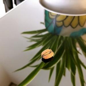 Café Robusta 100% vietnamien de qualité supérieure A+ torréfié en ville, processus entièrement lavé, prix plus avantageux pour les commandes importantes en 2026 - Product Image 6