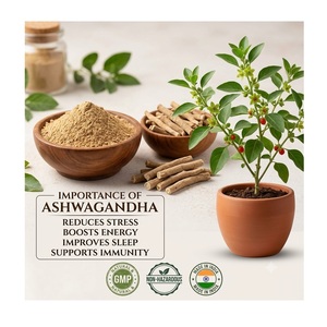 Poudre d'extrait de racine d'ashwagandha pure biologique, fabricant indien direct, soin corporel naturel et sûr pour tous les types de peau - Product Image 3