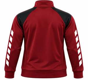 Zip-Up Sport Jacket Raglan Sleeve Breathable Knitted Stand <b>Collar</b> Regular Fit Autumn Wear - Product Image 2