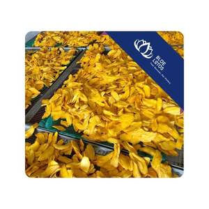 Tranches de mangue séchées de haute qualité pour la transformation alimentaire et la vente au détail au Vietnam - Product Image 1