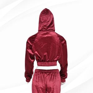 Wholesale High Quality Fashion <b>Velvet</b> Suit for Women Crop Hoodies Jogger Set <b>Velvet</b> <b>Tracksuit</b> Soft Custom <b>Velvet</b> Set - Product Image 6